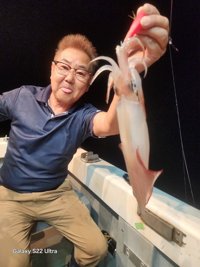 ケンサキ(ケンサキイカ)