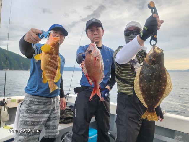 マダイ・アコウ(キジハタ)