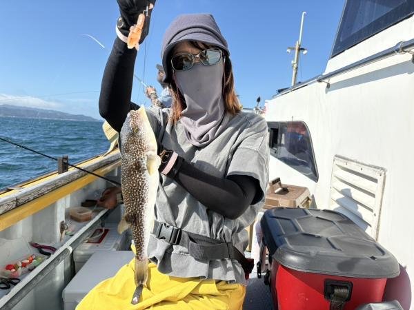 ショウサイフグ