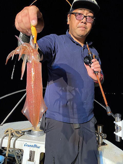 シロイカ(ケンサキイカ)