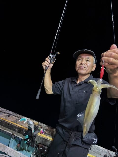 マイカ(ケンサキイカ)