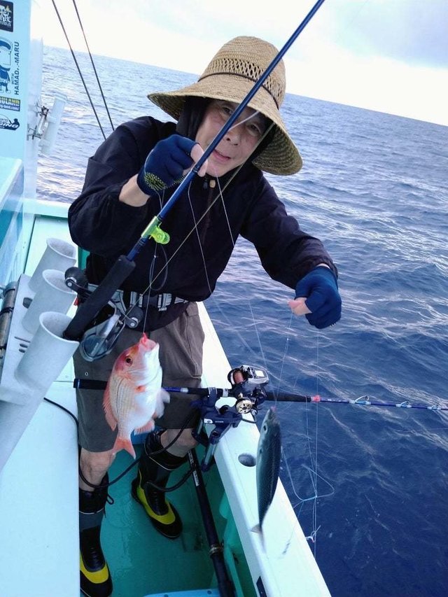 レンコダイ(キダイ)