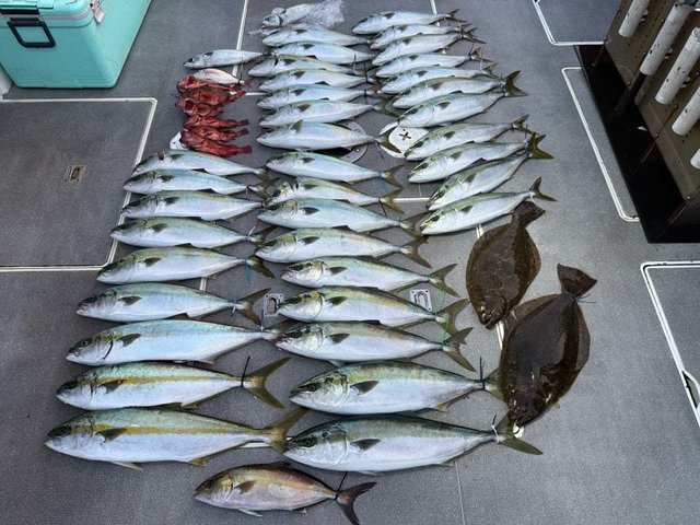 ハマチ(ブリ)・カサゴ・ヒラメ