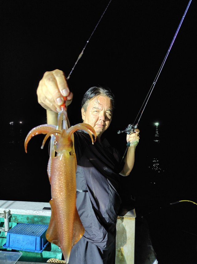 シロイカ(ケンサキイカ)