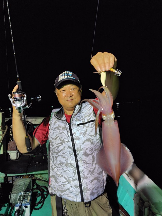 シロイカ(ケンサキイカ)