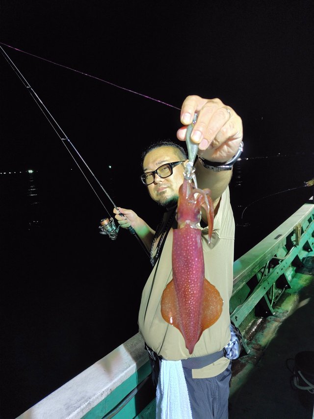 シロイカ(ケンサキイカ)