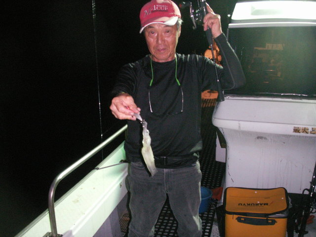 シロイカ(ケンサキイカ)