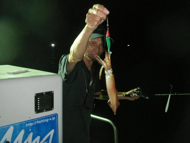 シロイカ(ケンサキイカ)