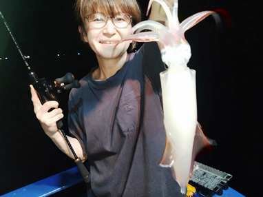 マイカ(ケンサキイカ)