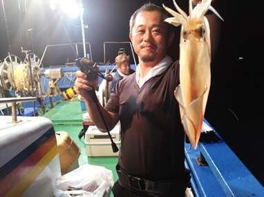 マイカ(ケンサキイカ)