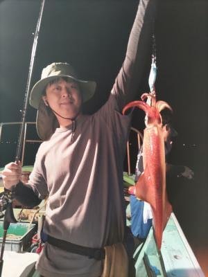 マイカ(ケンサキイカ)