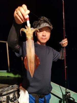 マイカ(ケンサキイカ)