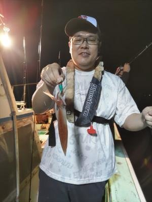 マイカ(ケンサキイカ)