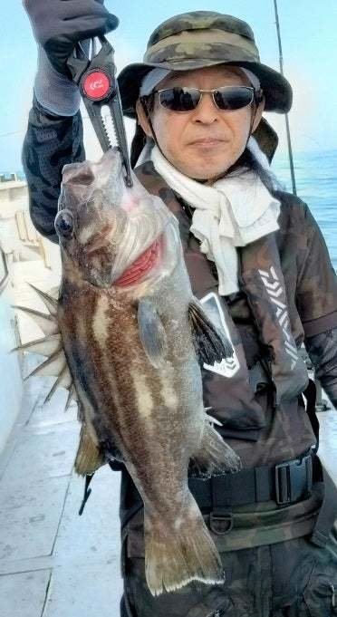 イシナギ(オオクチイシナギ)