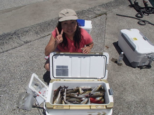 マアジ・イサキ