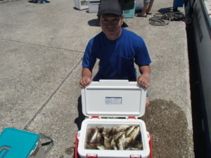 マアジ・イサキ