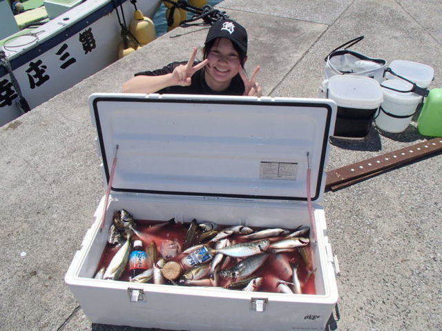 マアジ・イサキ