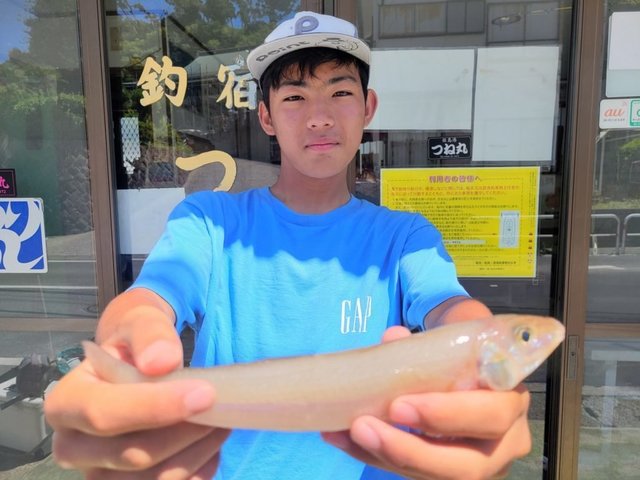 キス(シロギス)