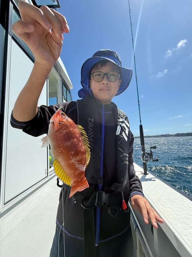 ベラ(キュウセン)