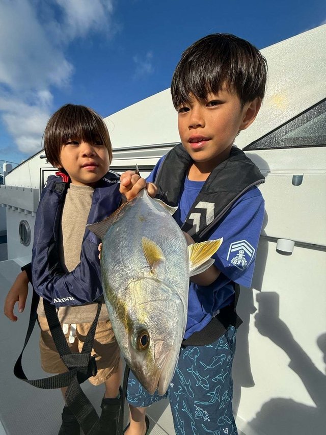 ショゴ(カンパチ)