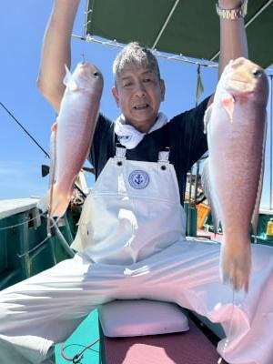 アマダイ(アカアマダイ)