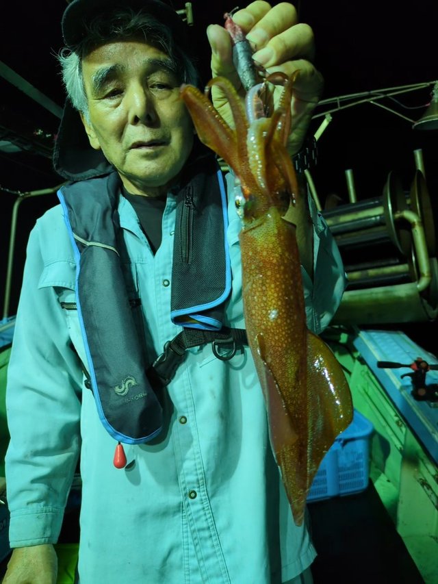 イカ(ケンサキイカ)