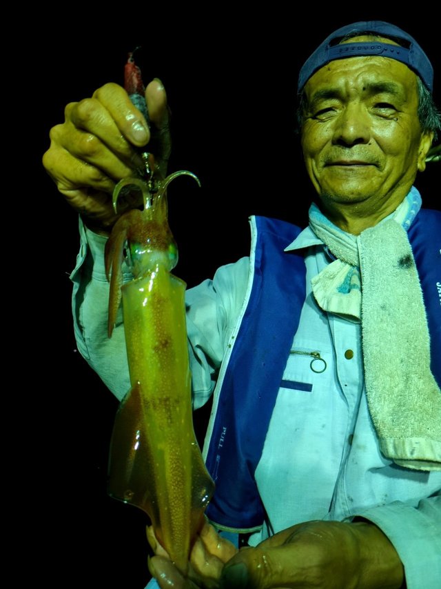 イカ(ケンサキイカ)