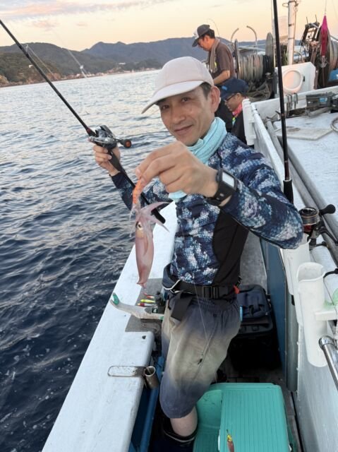 マイカ(ケンサキイカ)