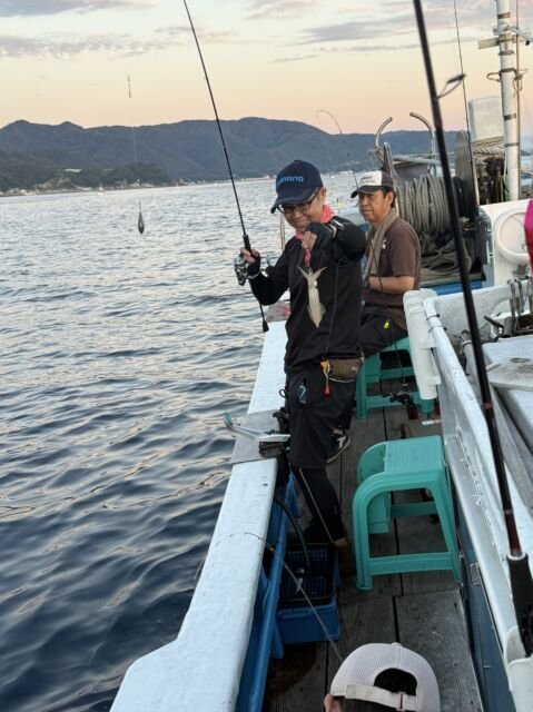 マイカ(ケンサキイカ)