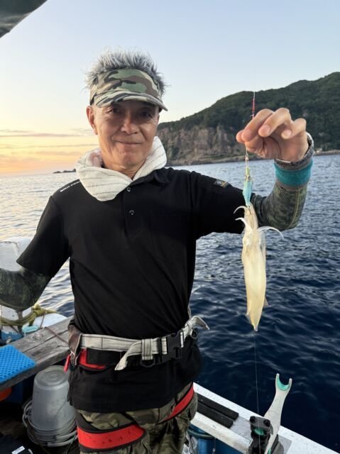 マイカ(ケンサキイカ)