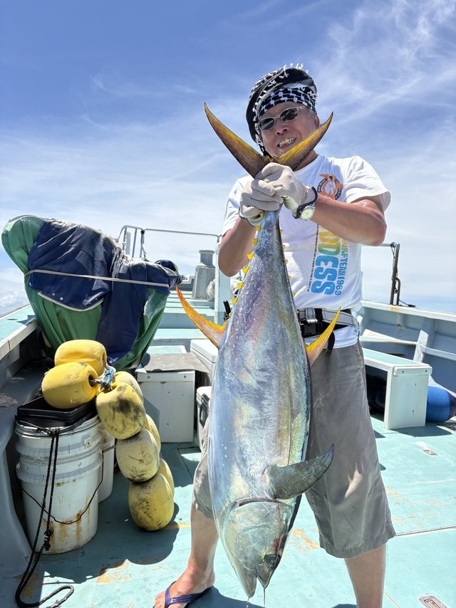 キハダマグロ(キハダ)