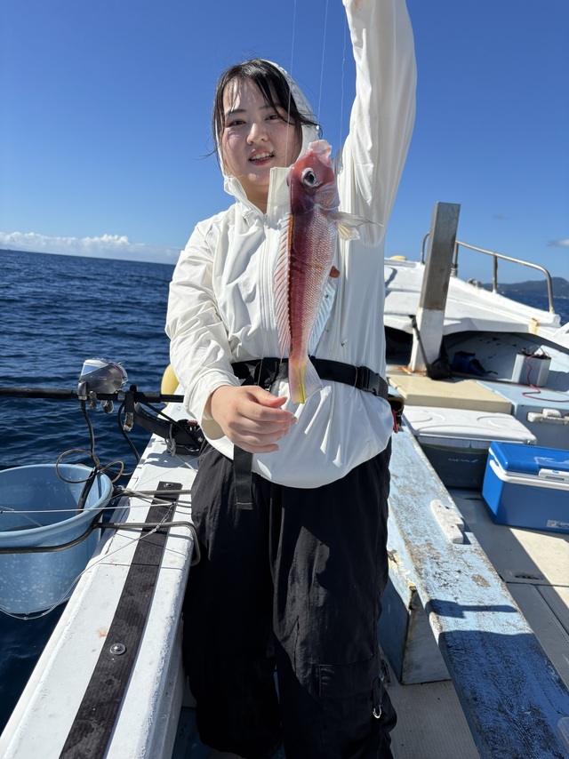 アマダイ(アカアマダイ)