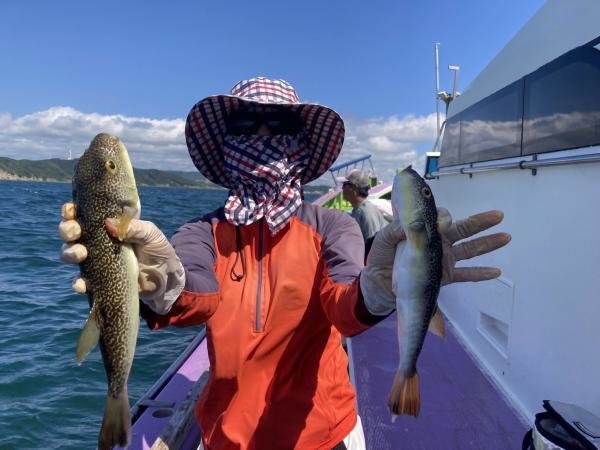 ショウサイフグ