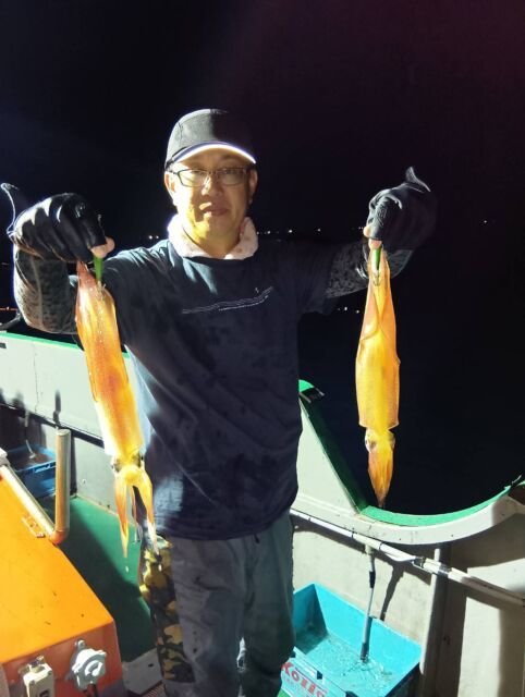 イカ(ヤリイカ)