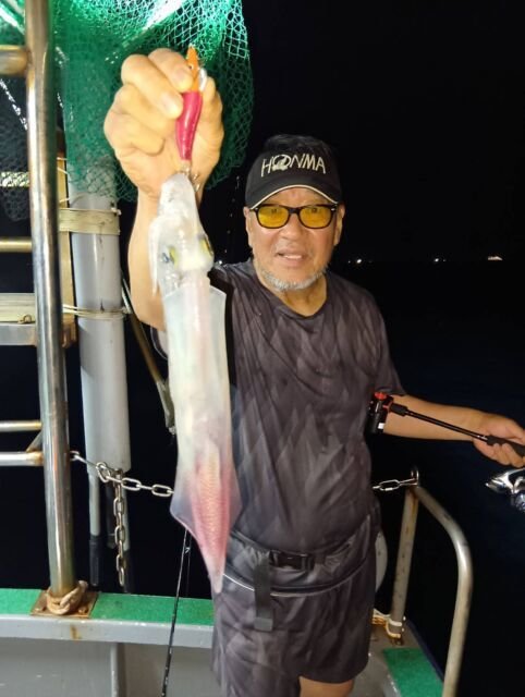 イカ(ヤリイカ)