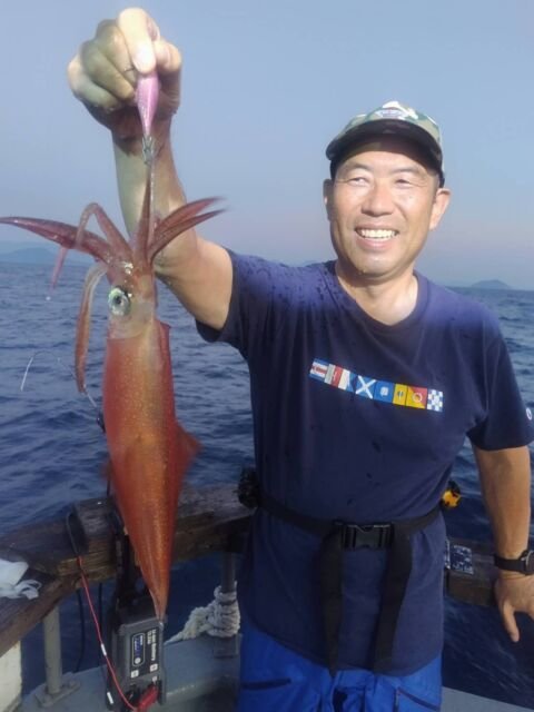 イカ(ヤリイカ)