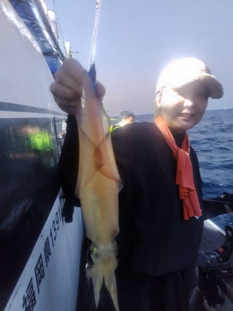 イカ(ヤリイカ)