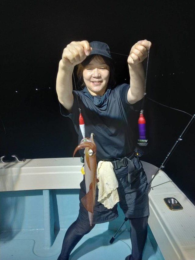 イカ(ヤリイカ)