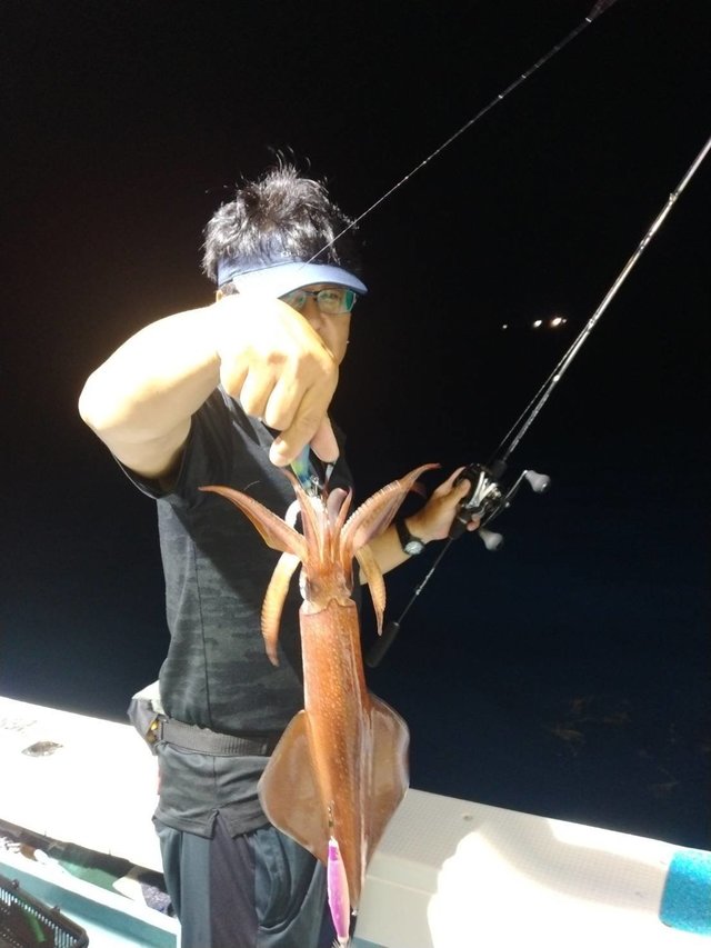 イカ(ヤリイカ)