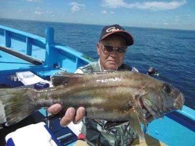 イシナギ(オオクチイシナギ)