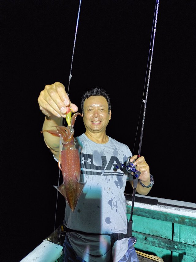 シロイカ(ケンサキイカ)