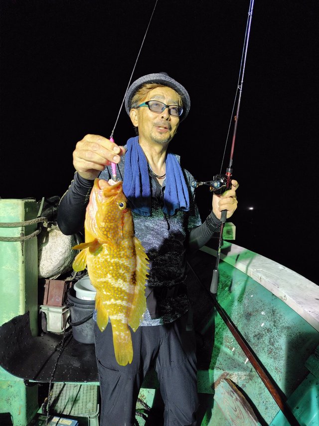 アコウ(キジハタ)