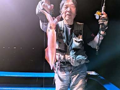 マイカ(ケンサキイカ)