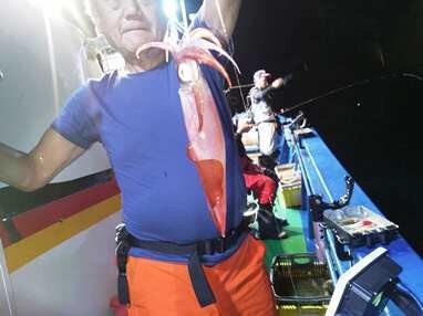 マイカ(ケンサキイカ)