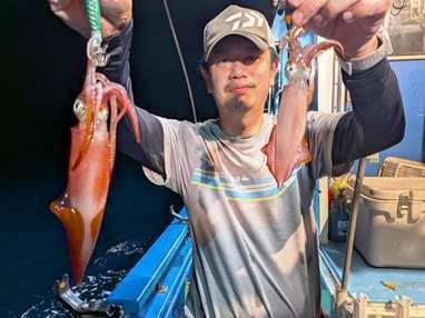 マイカ(ケンサキイカ)