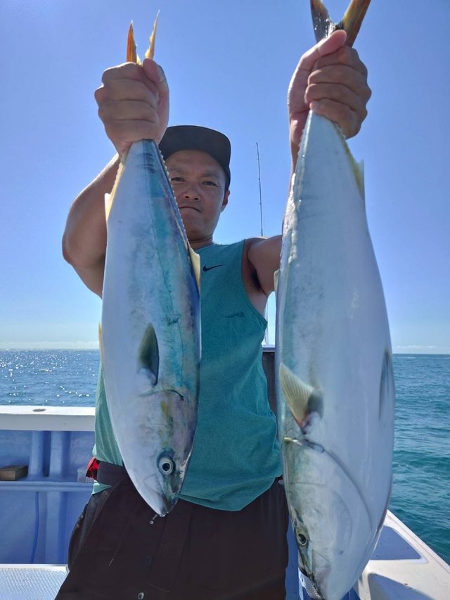 イナダ(ブリ)・ワラサ(ブリ)