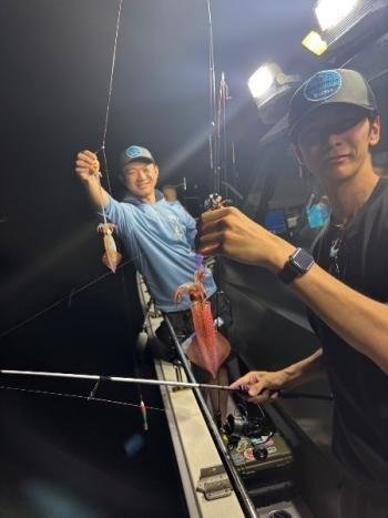 マイカ(ケンサキイカ)