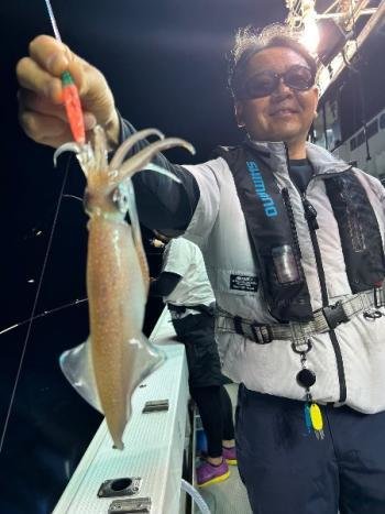 マイカ(ケンサキイカ)