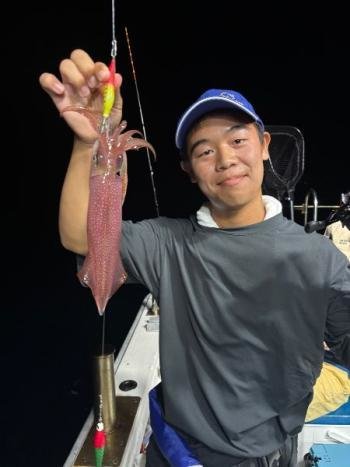 マイカ(ケンサキイカ)