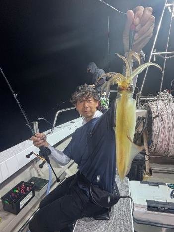 マイカ(ケンサキイカ)